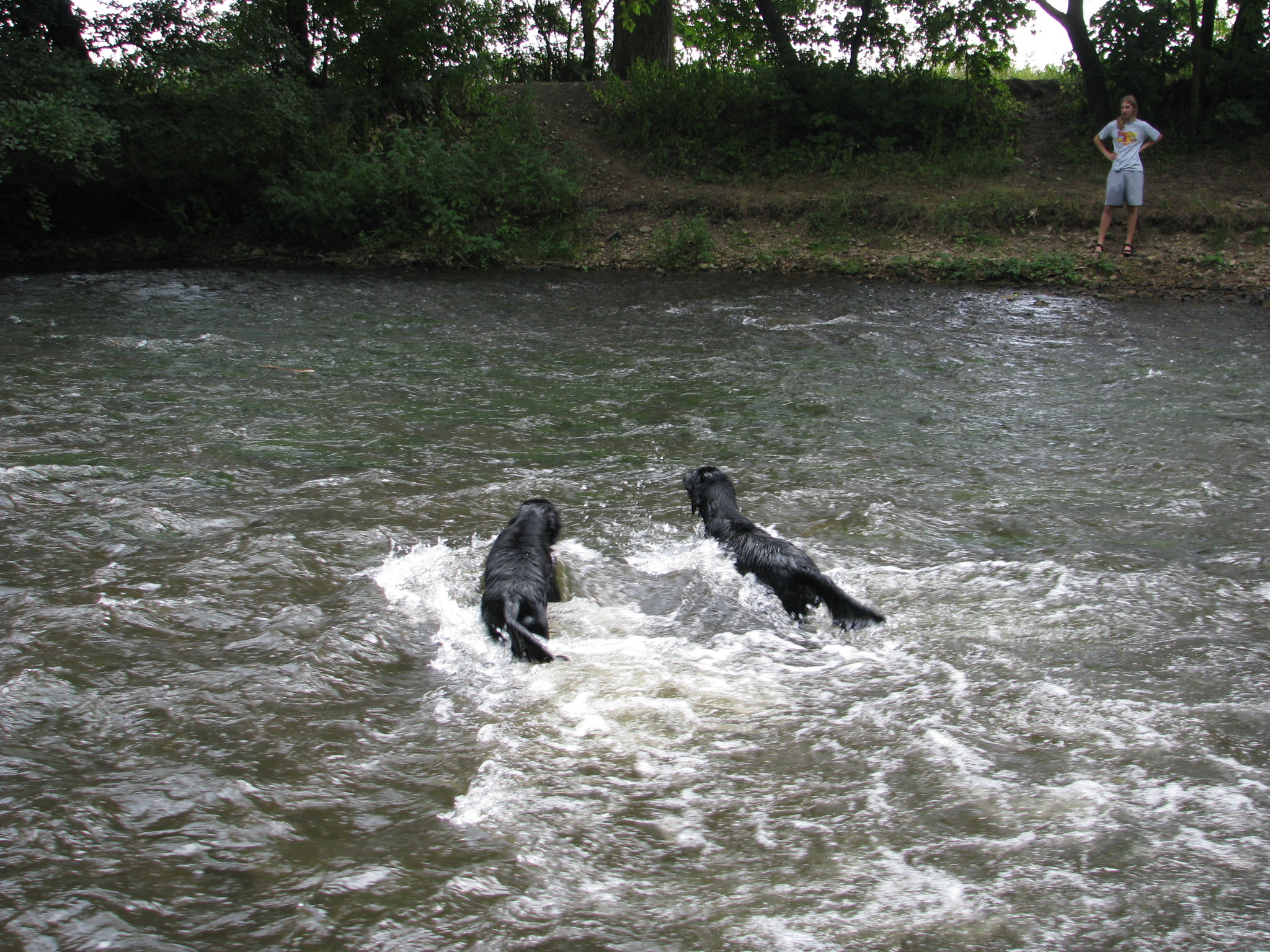 10) Dovolená 2008