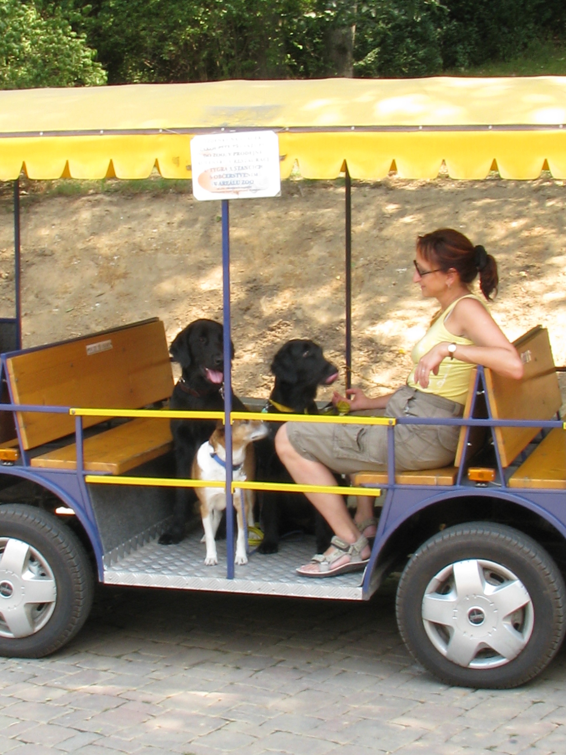 14) Dovolená 2008