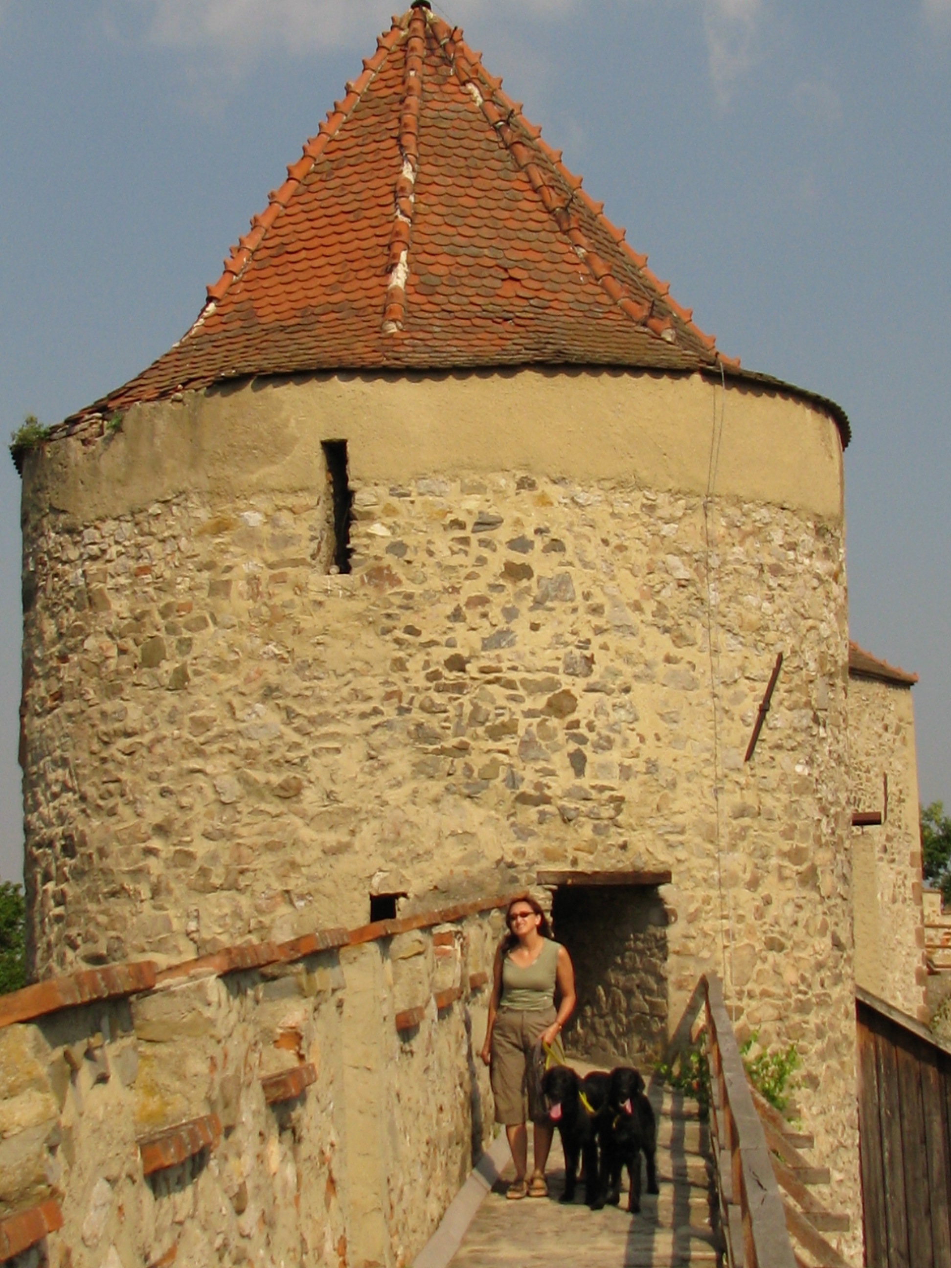16) Dovolená 2008