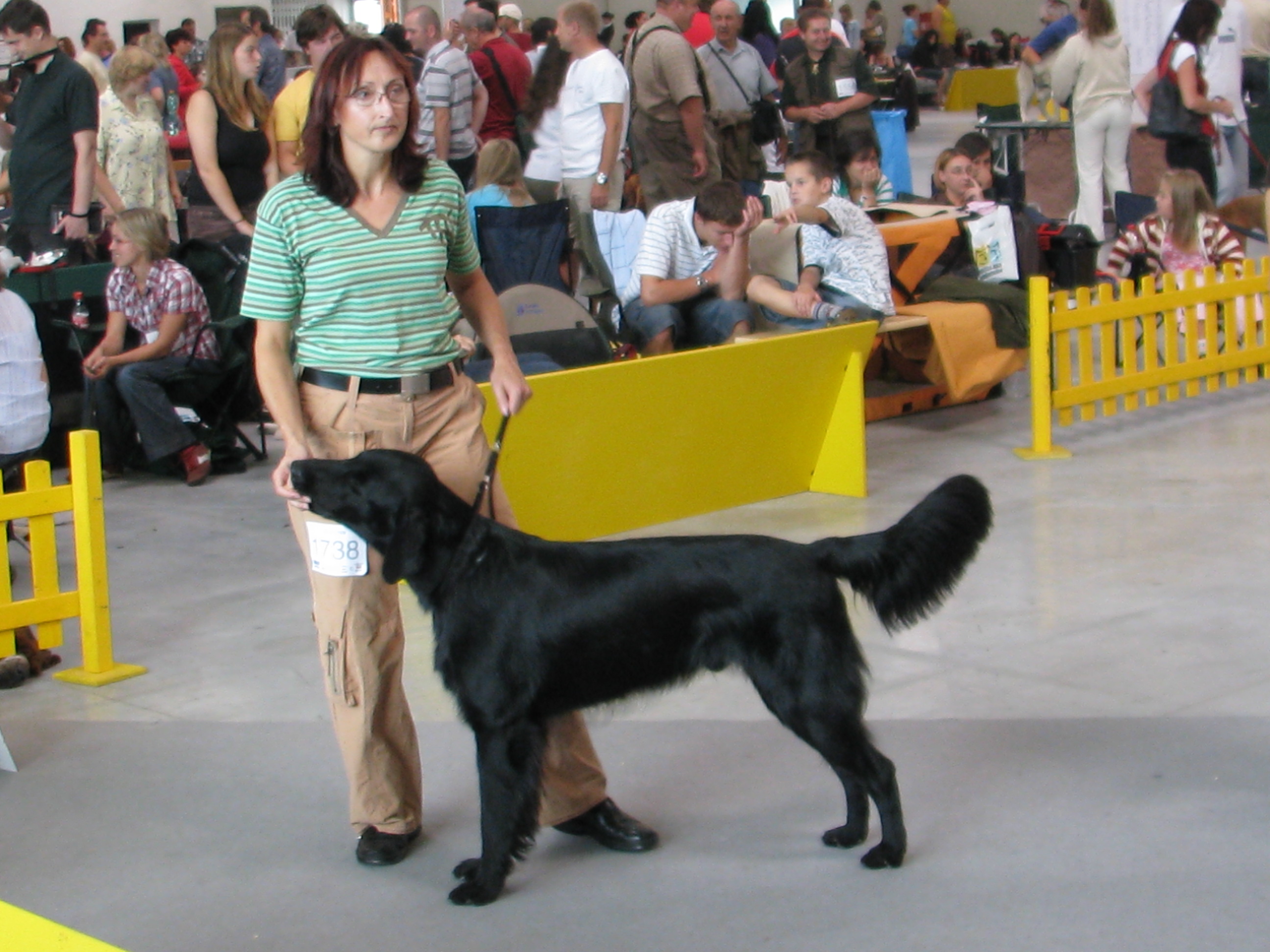 20 - 17. 8. 2008 Blava